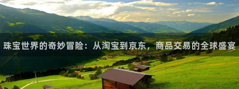 新宝5源码：珠宝世界的奇妙冒险：从淘宝到京东，商品交易的全球盛宴