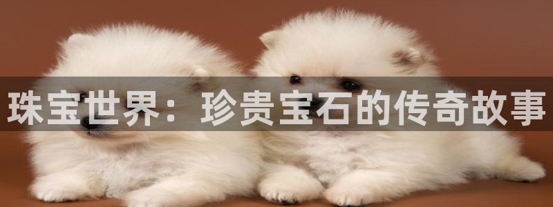 新宝5X：珠宝世界：珍贵宝石的传奇故事