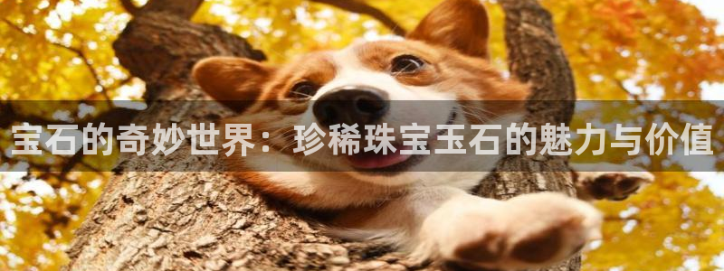 新宝5褚74OOO5：宝石的奇妙世界：珍稀珠宝玉石的魅力与价值