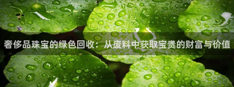 新宝5首页：奢侈品珠宝的绿色回收：从废料中获取宝贵的财富与价值
