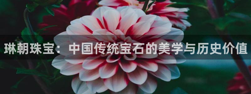 有人知道新宝5么：琳朝珠宝：中国传统宝石的美学与历史价值