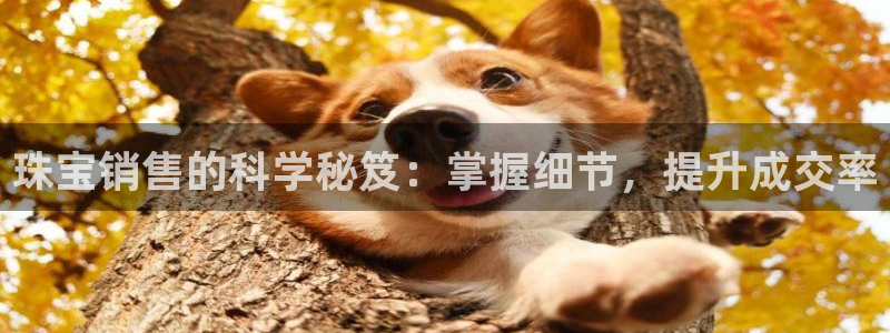 新宝gg5：珠宝销售的科学秘笈：掌握细节，提升成交率