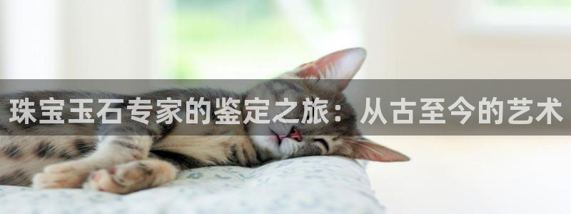 新宝5是什么：珠宝玉石专家的鉴定之旅：从古至今的艺术