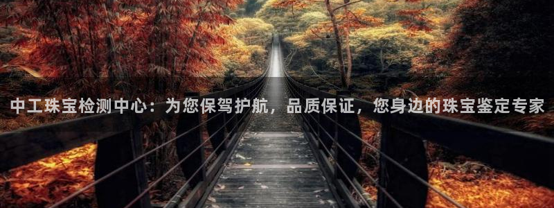 新宝5测速：中工珠宝检测中心：为您保驾护航，品质保证，您身边的珠宝鉴定专家