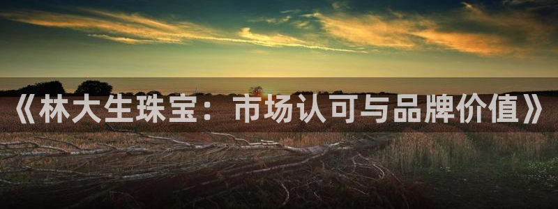 新宝5平台霸：《林大生珠宝：市场认可与品牌价值》