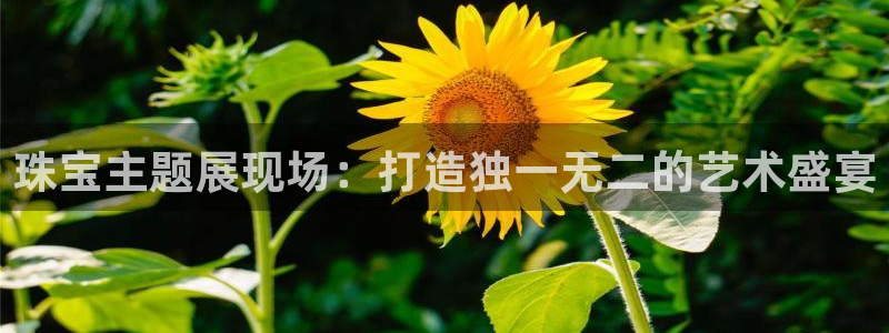 新宝rm5：珠宝主题展现场：打造独一无二的艺术盛宴