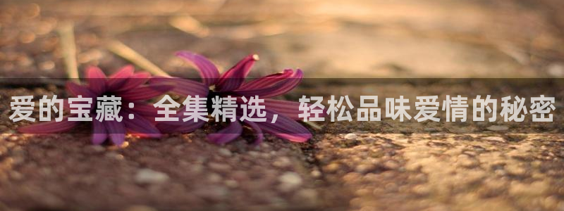 新宝 5测速：爱的宝藏：全集精选，轻松品味爱情的秘密