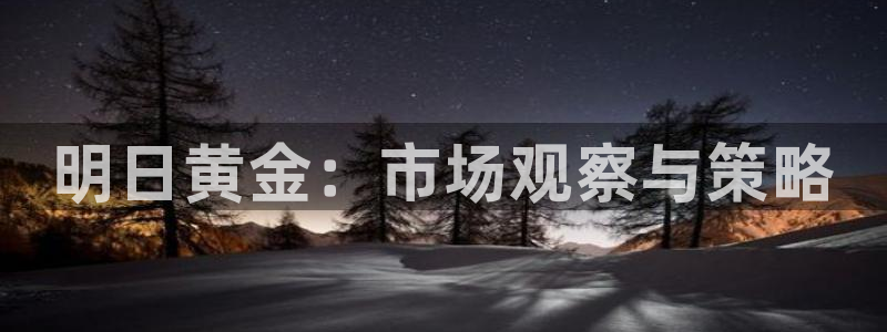 新宝5网址：明日黄金：市场观察与策略