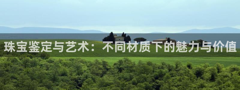 新宝5娱乐招商：珠宝鉴定与艺术：不同材质下的魅力与价值