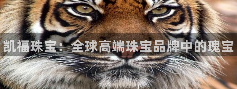 新宝5娱乐主管：凯福珠宝：全球高端珠宝品牌中的瑰宝