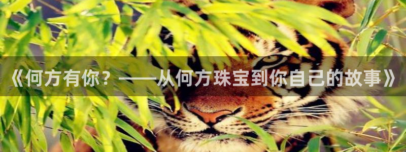 新宝奇迹GG5：《何方有你？——从何方珠宝到你自己的故事》