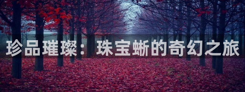 新宝5官网67五壹叁八：珍品璀璨：珠宝蜥的奇幻之旅