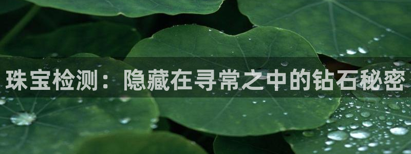 新宝5内部：珠宝检测：隐藏在寻常之中的钻石秘密
