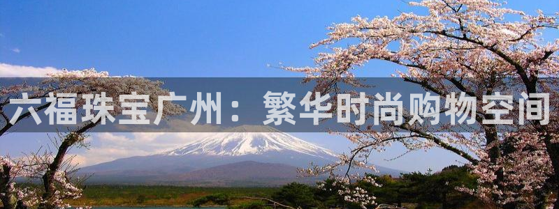 新宝5开户