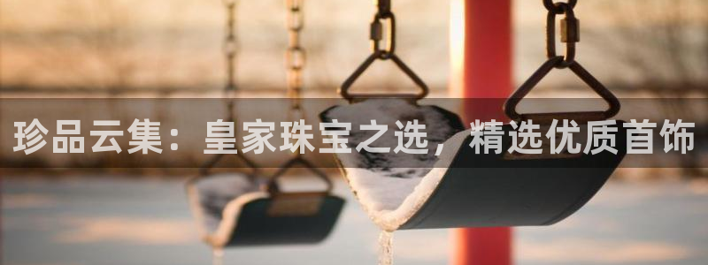 新宝rm5：珍品云集：皇家珠宝之选，精选优质首饰