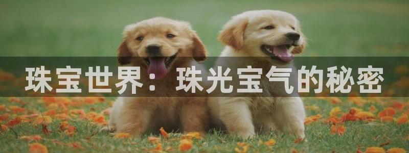 新宝gg5：珠宝世界：珠光宝气的秘密