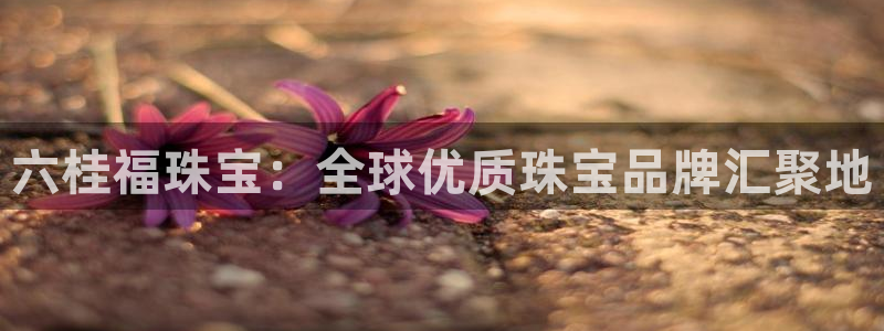 新宝5吕74OOO5：六桂福珠宝：全球优质珠宝品牌汇聚地