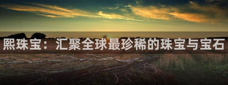 新宝5测速：熙珠宝：汇聚全球最珍稀的珠宝与宝石