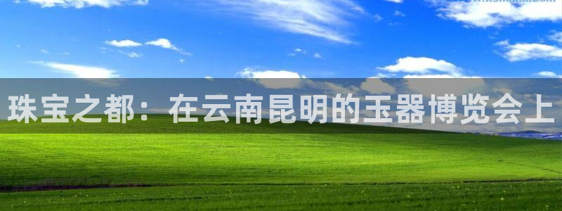 新宝5-测速：珠宝之都：在云南昆明的玉器博览会上