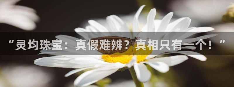 新宝5官网霸：“灵均珠宝：真假难辨？真相只有一个！”