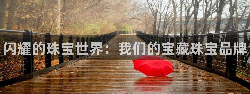 i新宝5：闪耀的珠宝世界：我们的宝藏珠宝品牌