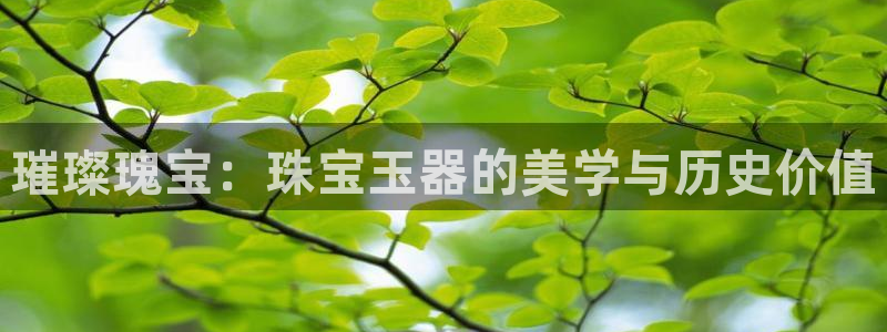 新宝5官网：璀璨瑰宝：珠宝玉器的美学与历史价值