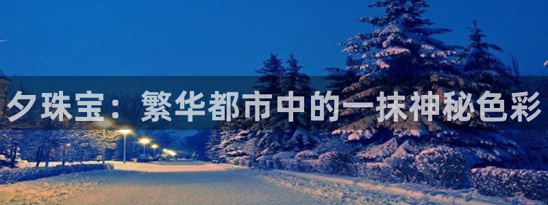 新宝m2O5O5O：夕珠宝：繁华都市中的一抹神秘色彩
