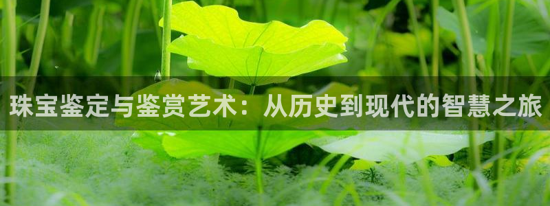 新宝5登陆地址：珠宝鉴定与鉴赏艺术：从历史到现代的智慧之旅