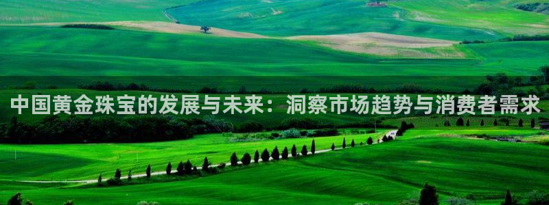 新宝5官网67五壹叁八：中国黄金珠宝的发展与未来：洞察市场趋势与消费者需求