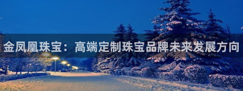 新宝j2O5O5O：金凤凰珠宝：高端定制珠宝品牌未来发展方向