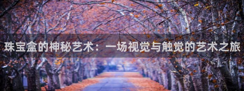 新宝5登录：珠宝盒的神秘艺术：一场视觉与触觉的艺术之旅