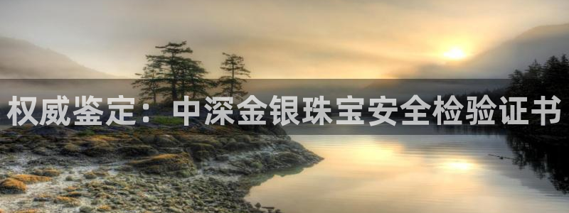 新宝xb5：权威鉴定：中深金银珠宝安全检验证书