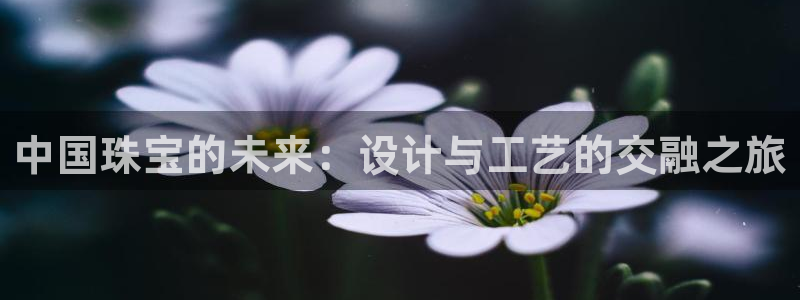 新宝5注册测速登录：中国珠宝的未来：设计与工艺的交融之旅