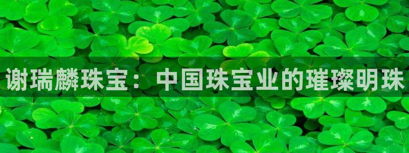 新宝G5：谢瑞麟珠宝：中国珠宝业的璀璨明珠