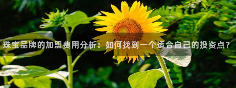 新宝j2O5O5O：珠宝品牌的加盟费用分析：如何找到一个适合自己的投资点？