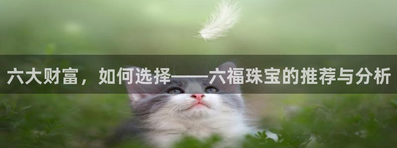 新宝5官方网站：六大财富，如何选择——六福珠宝的推荐与分析