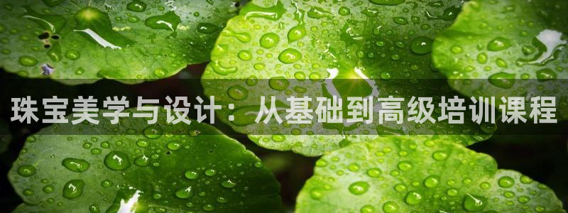 新宝5是什么样子的：珠宝美学与设计：从基础到高级培训课程