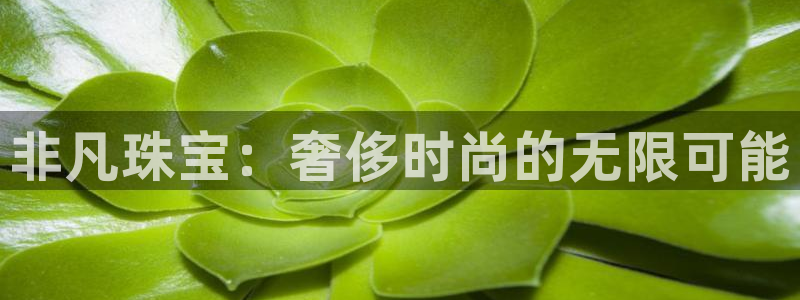 新宝5下载软件：非凡珠宝：奢侈时尚的无限可能