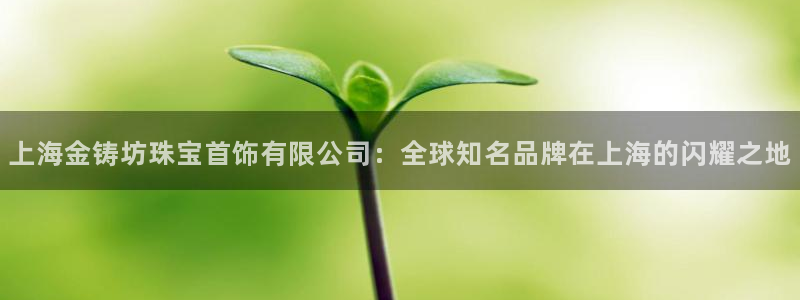 新宝5_测：上海金铸坊珠宝首饰有限公司：全球知名品牌在上海的闪耀之地