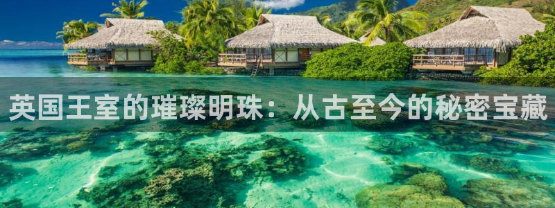 新宝j2O5O5O：英国王室的璀璨明珠：从古至今的秘密宝藏