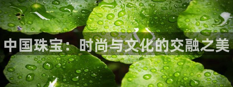 新宝5月：中国珠宝：时尚与文化的交融之美