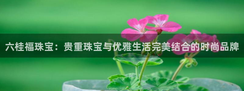 新宝5下载：六桂福珠宝：贵重珠宝与优雅生活完美结合的时尚品牌