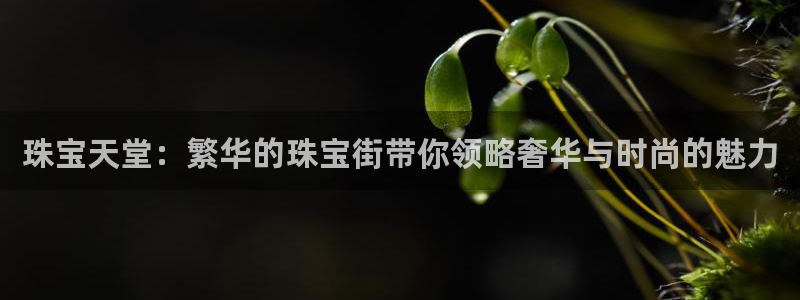 新宝5平台霸：珠宝天堂：繁华的珠宝街带你领略奢华与时尚的魅力