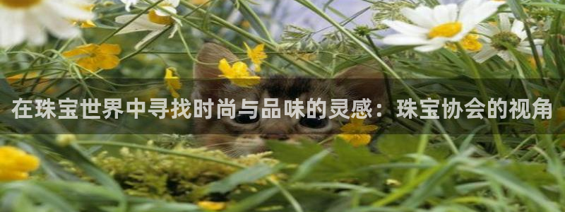 新宝5 - 测速登陆：在珠宝世界中寻找时尚与品味的灵感：珠宝协会的视角